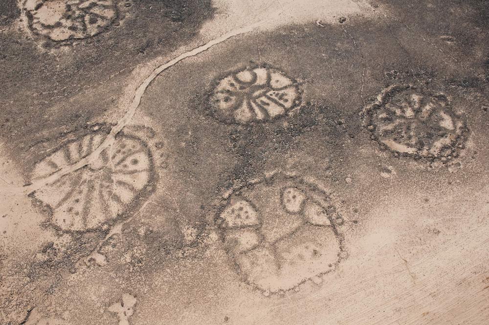 roues-vues-du-ciel-oasis-azraq-jordanie