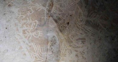 art taino caraïbes