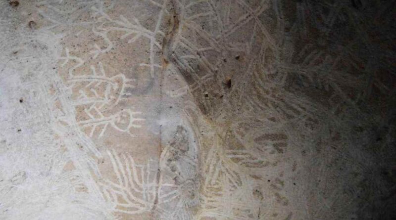 art taino caraïbes