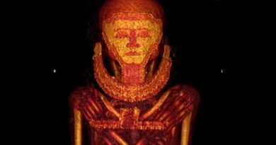 scanner-tomographie-momie-elephantine-assouan