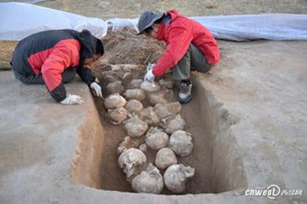 Une des fosses sacrificielles retrouvées sur le site archéologique de Shimao, une ville néolithique de Chine