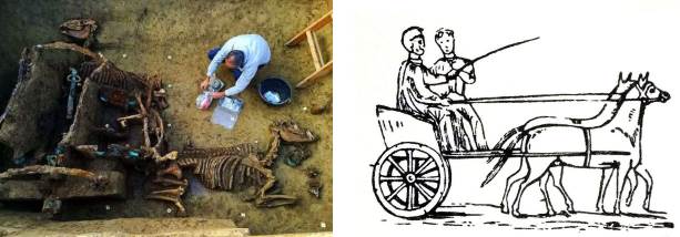 cistium-char-romain-decouverte-archeologique-croatie