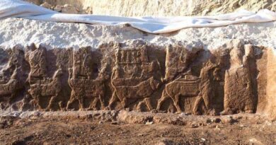 Bas-relief rupestre assyrien découverte en Irak