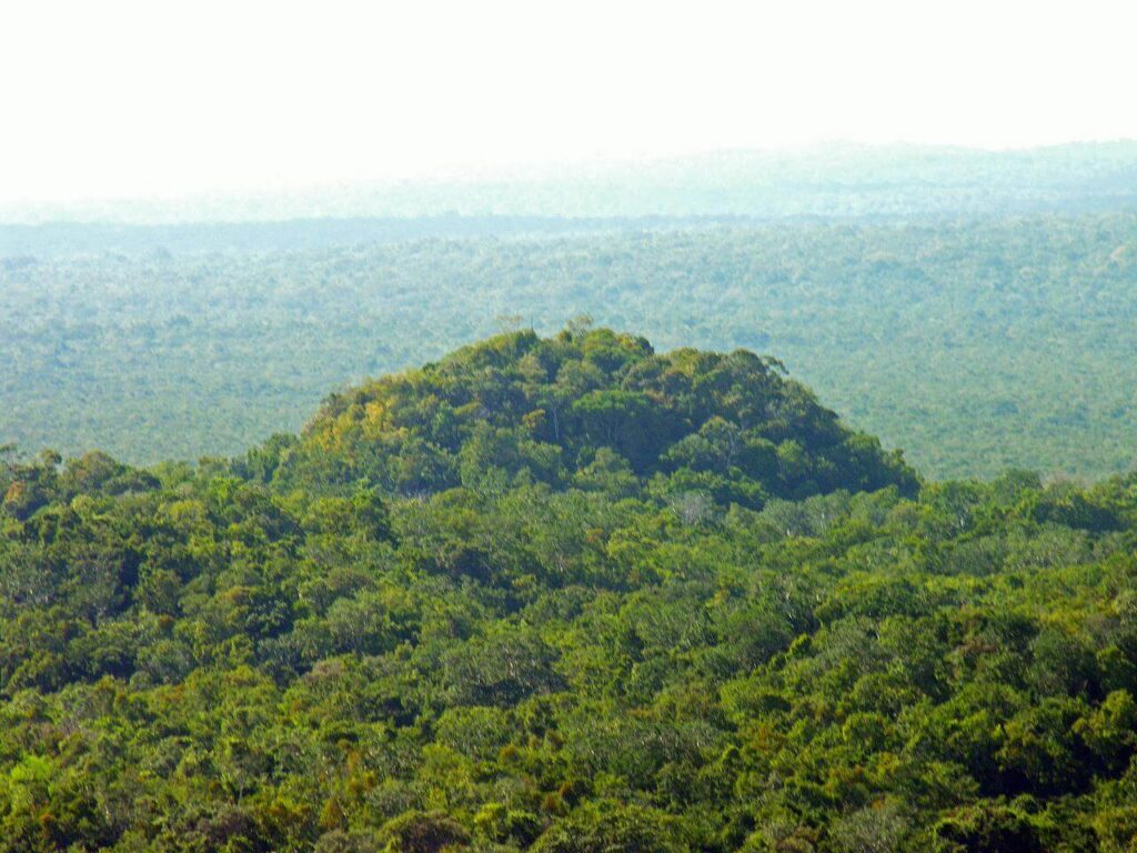 Grands sites archéologiques de la civilisation maya, la cité d'El Mirador