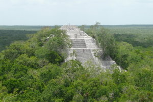 Grands sites archéologiques précolombiens, la cité maya de Calakmul dans le Yucatan
