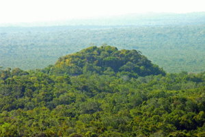 Vue d'une des pyramides d'El Mirador.