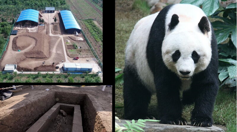 Collage site archéologique de la tombe de Wendi et panda géant