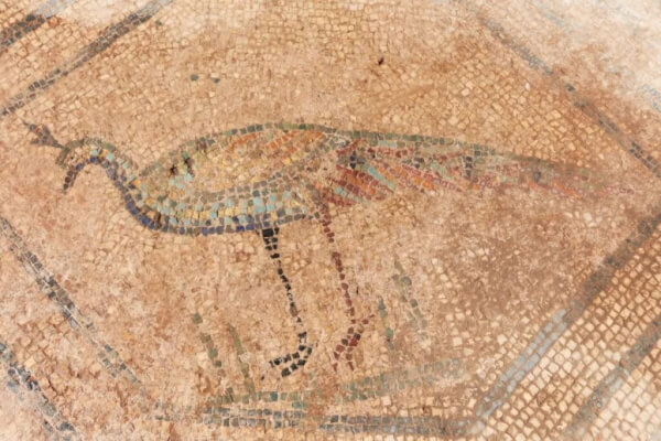 Détail de la mosaïque romaine trouvée dans une domus de Mérida, avec des paons encadrant une tête de Méduse