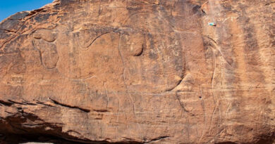 Gravures rupestres néolithiques représentant des chameaux, site archéologique du désert de Nafud