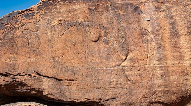 Gravures rupestres néolithiques représentant des chameaux, site archéologique du désert de Nafud