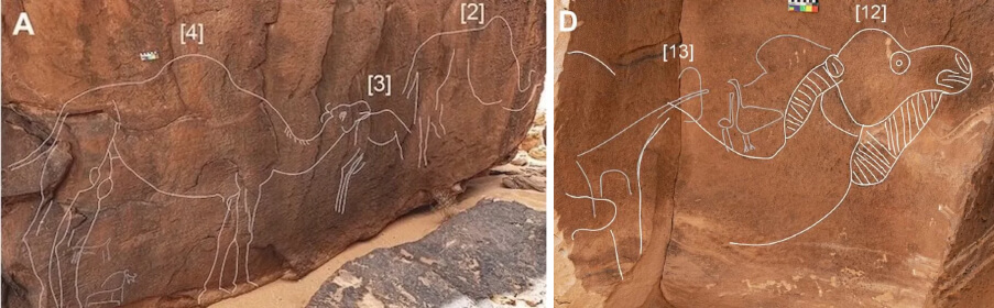 Gravures rupestres néolithiques de chameaux, désert du Nefud en Arabie Saoudite.