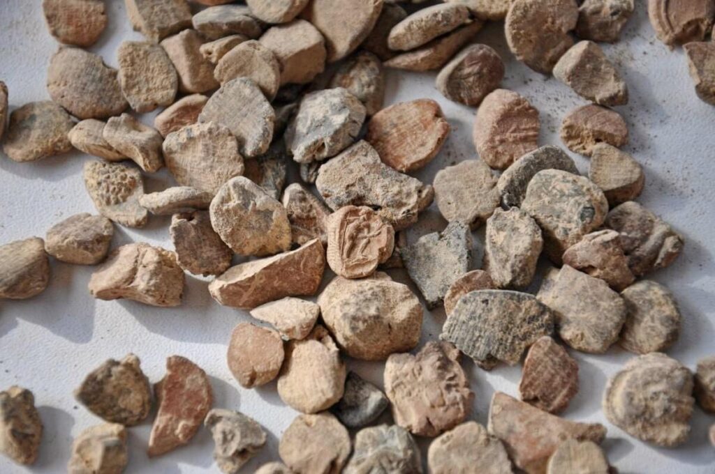 Empreintes de sceaux romains de Dolichê