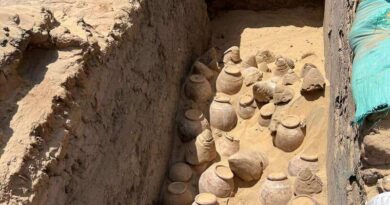 Jarres de vin de la tombe de la reine Meret-Neith à Abydos