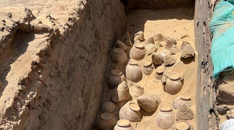 Jarres de vin de la tombe de la reine Meret-Neith à Abydos