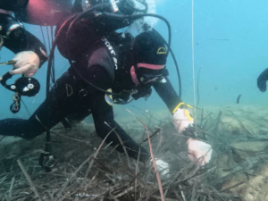Achéologues sous-marin au travail pour dégager des ancres de l'apoque archaïque près de Syracuse