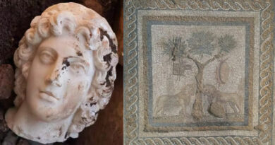 Découverte archéologique d'une mosaïque de lions et d'une tête d'Alexandre le Grand à Prusias ad Hypium, cité antique grecque et romaine de Bithynie, aujourd'hui en Turquie