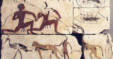 Bas-relief de Meidum