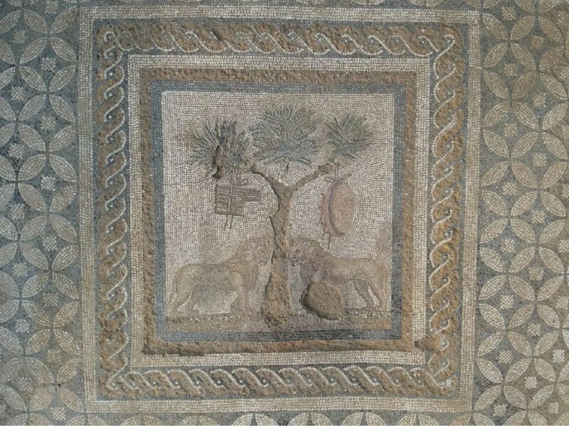 Mosaïque aux lions retrouvée dans le théâtre de Prusias ad Hypium en Turquie