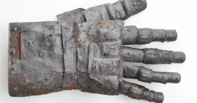 Gantelet médiéval retrouvé lors de fouilles au château de Kyburg en Suisse