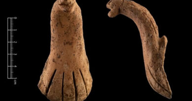 Poignée en poterie découverte à Taïwan et représentant un cobra de chine et remontant à l'époque néolithique
