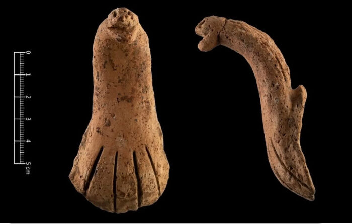 Poignée en poterie découverte à Taïwan et représentant un cobra de chine et remontant à l'époque néolithique