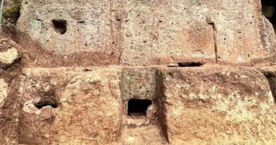 Découverte archéologique d'une tombe étrusque dans la nécropole de San Giuliano à Barbarano Romano, Italie