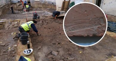 Découverte archéologique à Vienne en Autriche