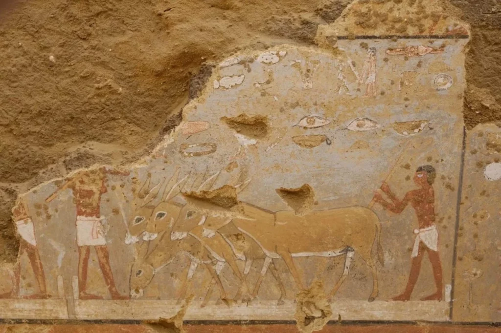 Bas-relief d'un mastaba de l'Ancien Empire découvert à Dahchour en Egypte