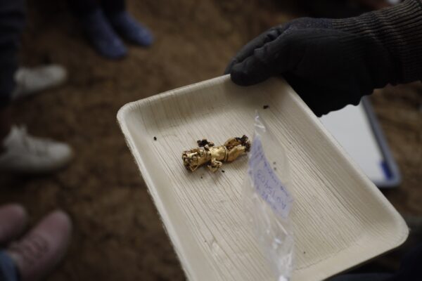 Site archéologique d'El Cano au Panama, découverte d'une tombe et de son riche matériel funéraire en or