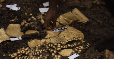 Site archéologique d'El Cano au Panama, découverte d'une tombe et de son riche matériel funéraire en or