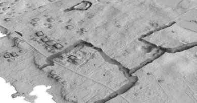 Relevé au LiDAR montrant des structures enfouies sous la végétation dans le Pacifique