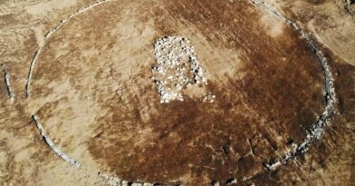 Restes d'un des tumulus de la nécropole d'Amorosi en Italie
