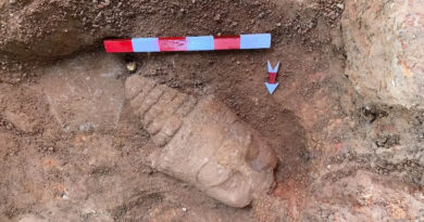Tête de déva retrouvée à la porte de la victoire d'angkor Thom