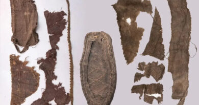 Tissus et chaussures retrouvés des XVIe et XVIIe siècles retrouvés à Torun en Pologne