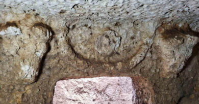 Décor de tombe romaine d'Anatolie à deux têtes de taureau, rosette et guirlandes