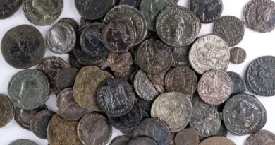 Trésor de pièces de monnaie datant de la révolte de Gallus retrouvé en Israël
