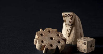 Des pièces d'échecs et de jeux médiévales retrouvées dans un château d'Allemagne