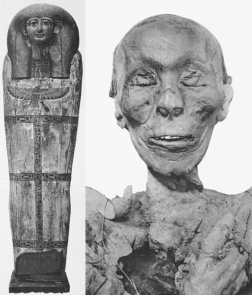 Sarcophage et momie de Thoutmosis II, découvertes au XIXe siècle