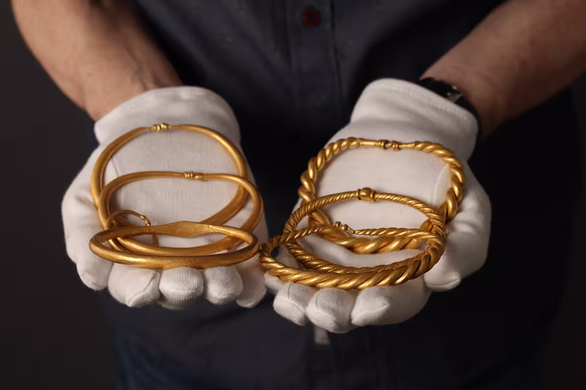 Exceptionnel trésor viking d'anneaux de bras en or découvert à Rold, au Danemark