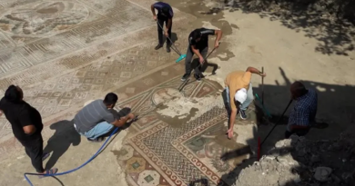Vue de la mosaïque retrouvée à Tokat en 2025