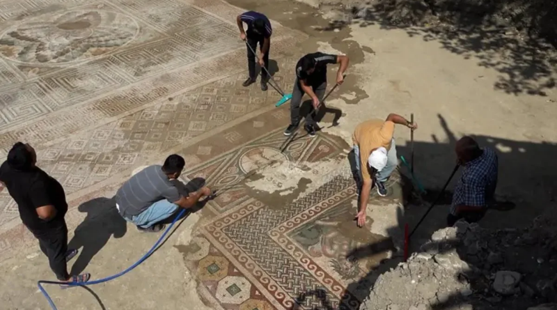Vue de la mosaïque retrouvée à Tokat en 2025
