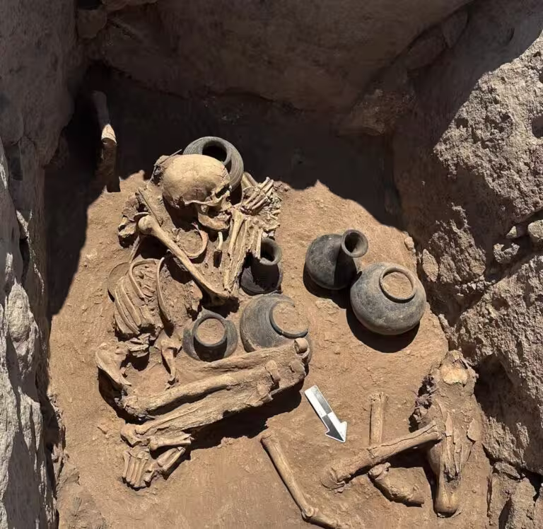 Sépulture dans la tombe monumentale de l'âge du bronze découverte en 2026 à Shamiram en Arménie