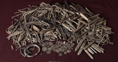 Trésor de Rebild, le plus grand trésor d'argent de l'ère viking découvert au Danemark