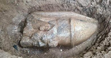 Tête d'une statue colossale de Ramsès II, à l'origine haute de 8 mètres, retrouvée dans le delta du Nil
