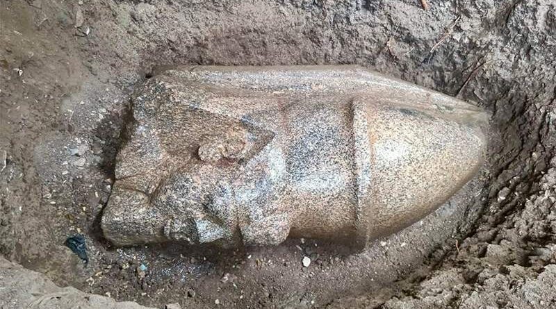 Tête d'une statue colossale de Ramsès II, à l'origine haute de 8 mètres, retrouvée dans le delta du Nil